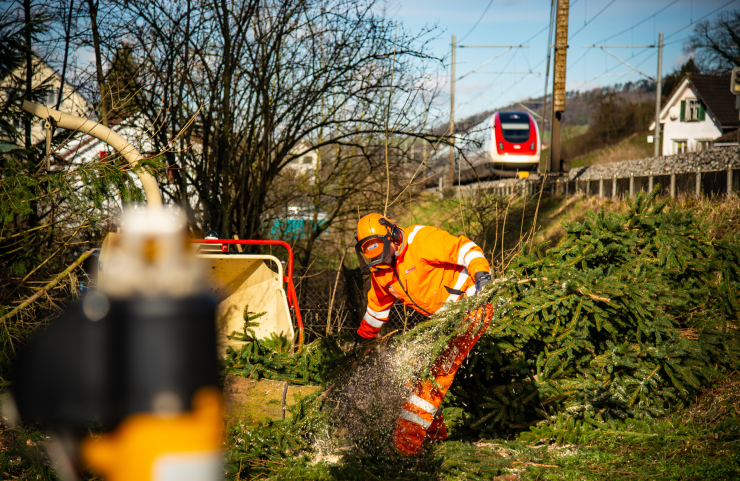 Service forestier