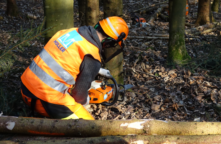 Service forestier