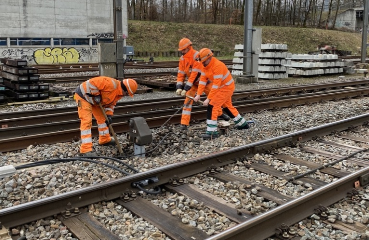 Montage Zwergsignal