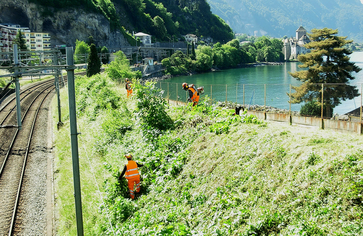 Unsere Fachkräfte im Einsatz