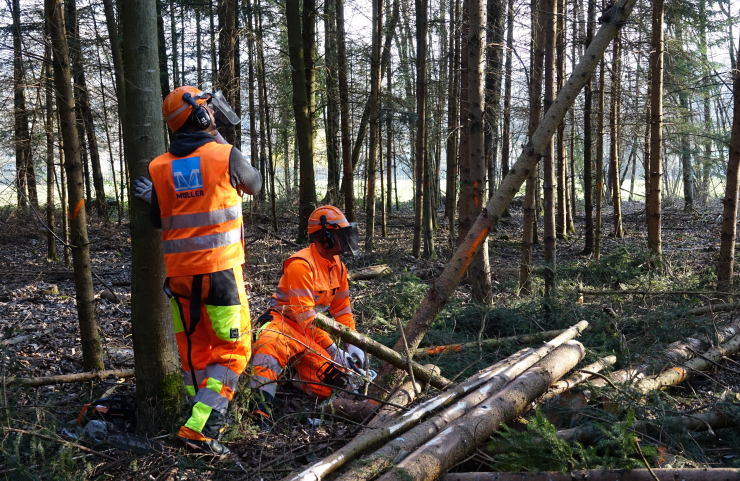 Formation continue de nos collaborateurs du service forestier