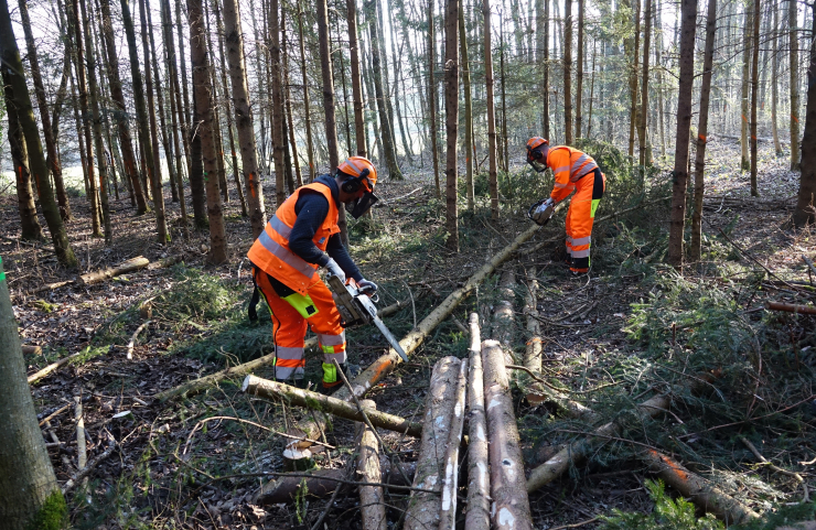 Formation continue de nos collaborateurs du service forestier