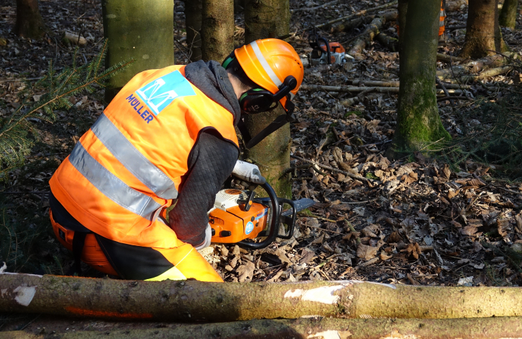 Formation continue de nos collaborateurs du service forestier