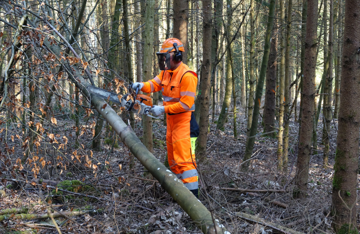 Formation continue de nos collaborateurs du service forestier