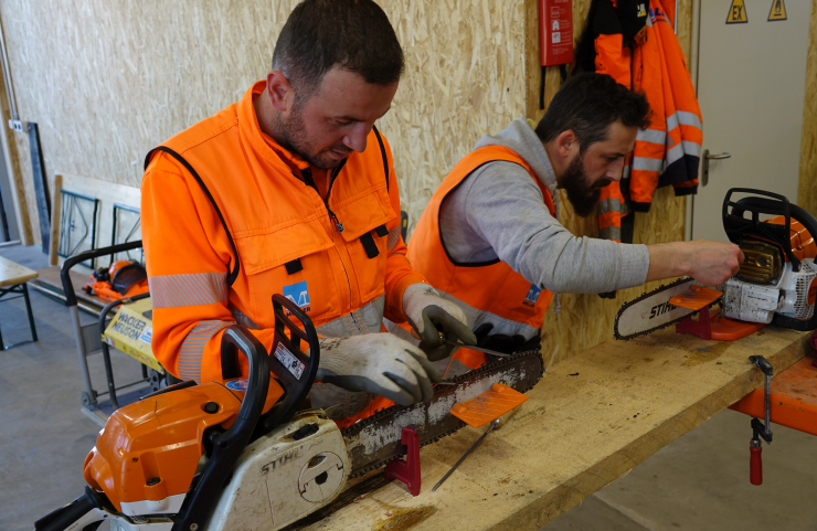 Formation continue de nos collaborateurs du service forestier