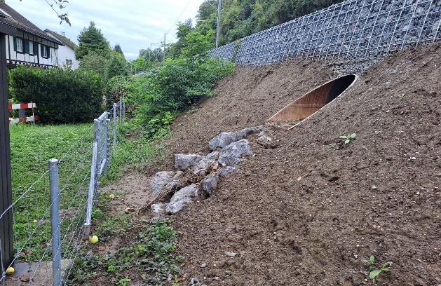 FbE 25 Feldbach - Rapperswil