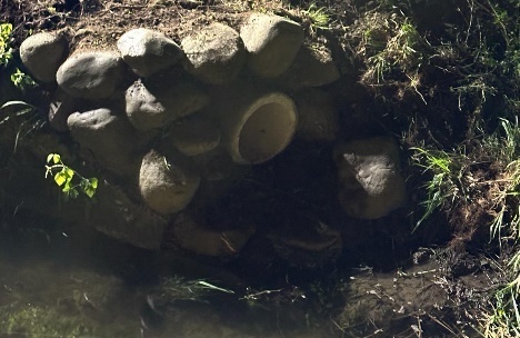 FbE 24 Marthalen - Dachsen