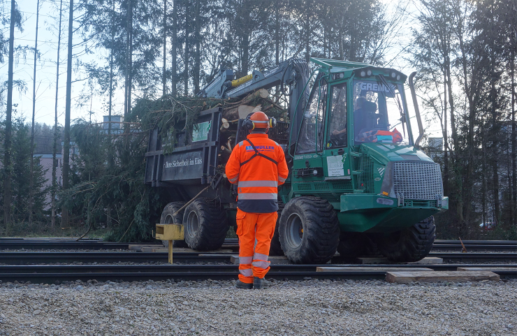 1 - Baumstämme werden über Gleisen abtransportiert